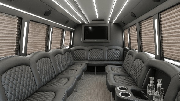 staten island 28 passenger party bus interior
