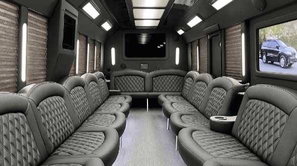 staten island 30 passenger party bus rental